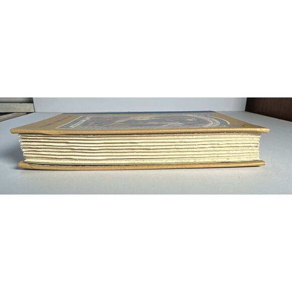 THE CARNIVOROUS CARNIVAL Book 9 Lemony Snicket 1st Edition 1st Printing USA Ed. - Picture 5 of 9